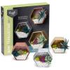 Craft Crush — Mini Plants Terrariums Easy Fun Arts and Craft Kit — Make 3 Charming Faux Terrariums! — For Ages 13 and Up(Mini (4 Pack))