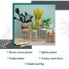 Craft Crush Faux Plant Sand Craft Kit – DIY Home Decor for Desk, Dresser & Office