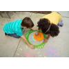 Spirograph Giant Outdoor, Arts and Crafts, Outdoor Toys, Kids Toys, Art Supplies, Craft Supplies, Drawing Kit, Spiral Art, Classic Gear Design Kit, Markers, Ages 8+