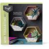 Craft Crush — Mini Plants Terrariums Easy Fun Arts and Craft Kit — Make 3 Charming Faux Terrariums! — For Ages 13 and Up(Mini)