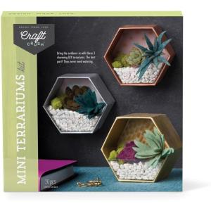 Craft Crush — Mini Plants Terrariums Easy Fun Arts and Craft Kit — Make 3 Charming Faux Terrariums! — For Ages 13 and Up(Mini)