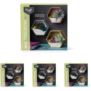 Craft Crush — Mini Plants Terrariums Easy Fun Arts and Craft Kit — Make 3 Charming Faux Terrariums! — For Ages 13 and Up(Mini (4 Pack))